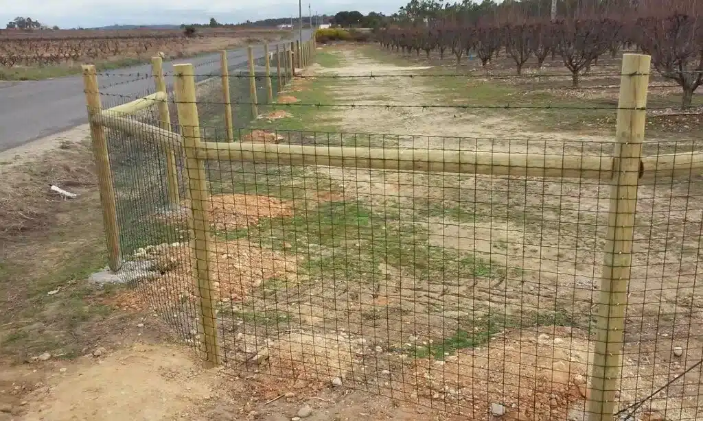Alpiarça - Vedação agrícola com malha electro soldada