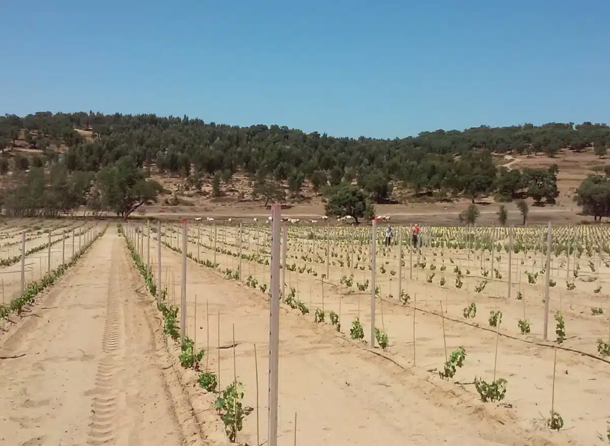 Estruturas Agrícolas
