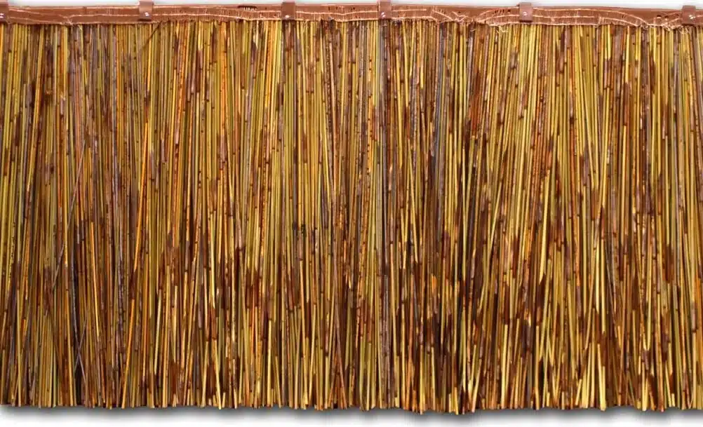 Colmo Africano